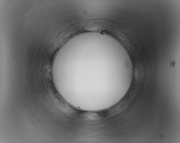 X0000112150322200908071009
