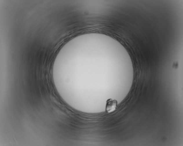 X0000112150324200908071009
