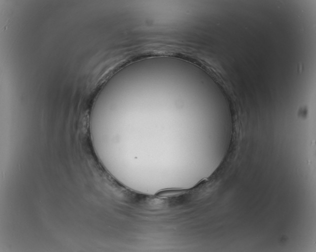 X0000112150325200908071009