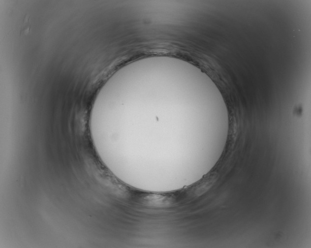 X0000112150326200908071009