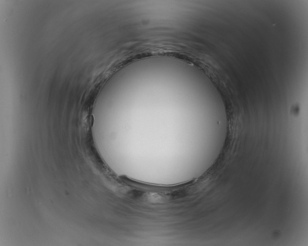 X0000112150327200908071009