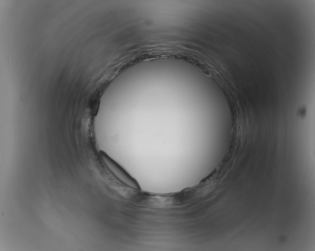 X0000112150328200908071009