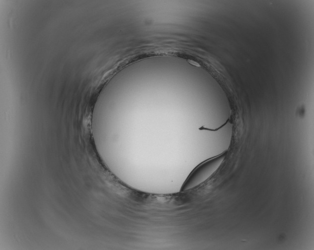 X0000112150329200908071009
