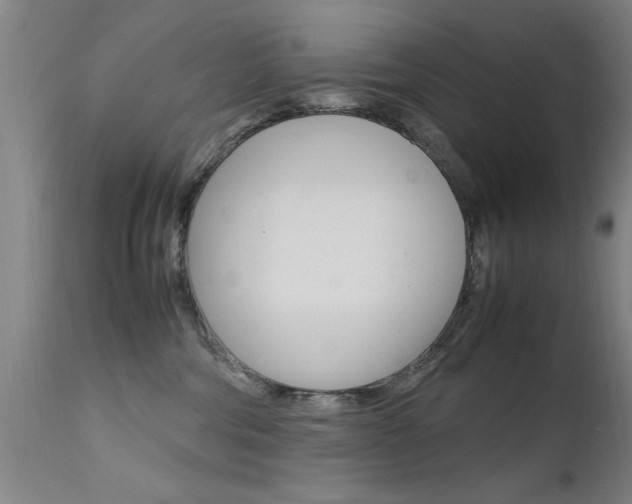 X0000112150330200908071009