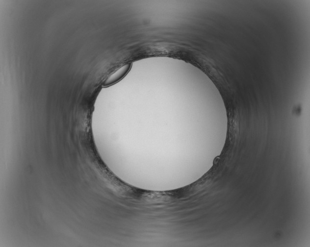 X0000112150331200908071009