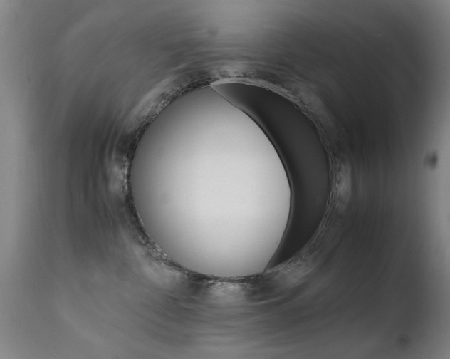 X0000112150332200908071009