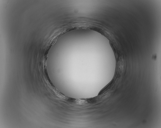 X0000112150333200908071009
