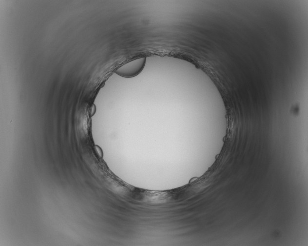X0000112150334200908071009