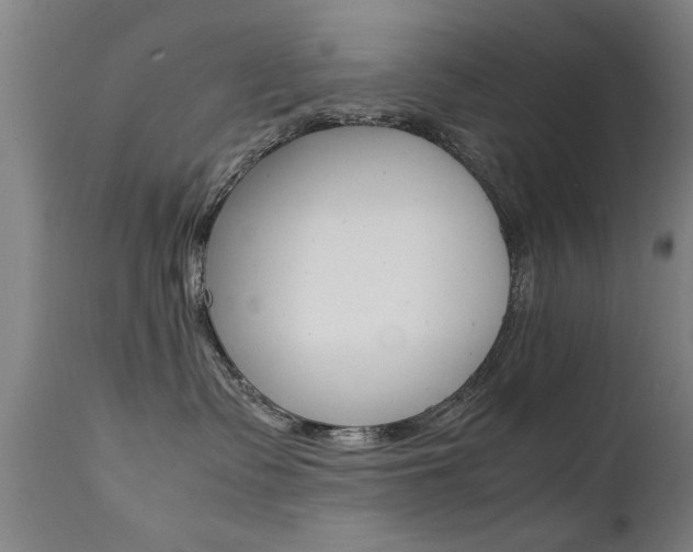 X0000112150335200908071009