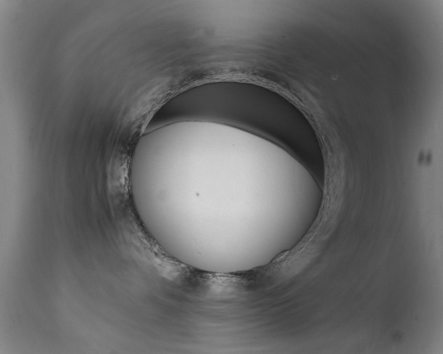 X0000112150336200908071009