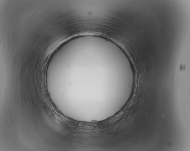X0000112150337200908071008