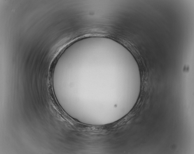 X0000112150338200908071008