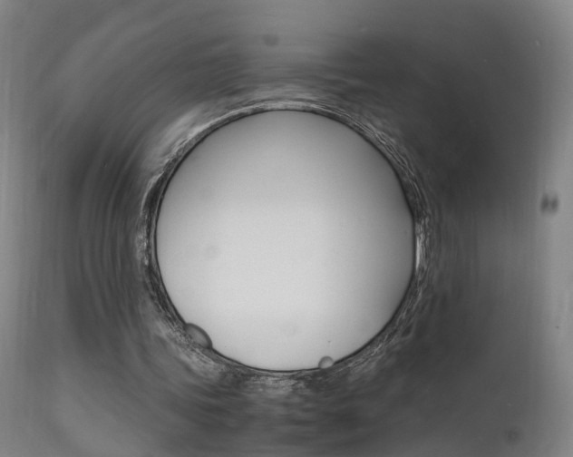 X0000112150339200908071008