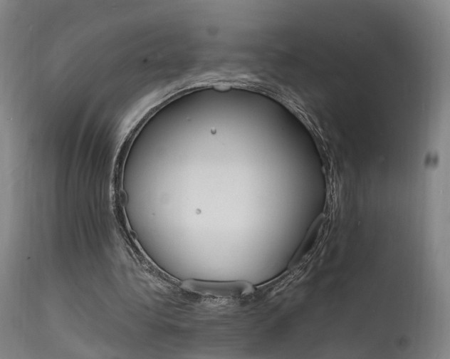 X0000112150340200908071008