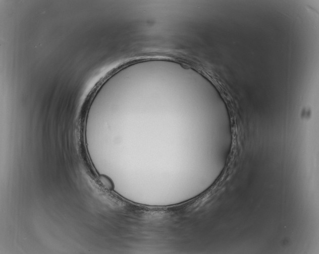X0000112150342200908071008
