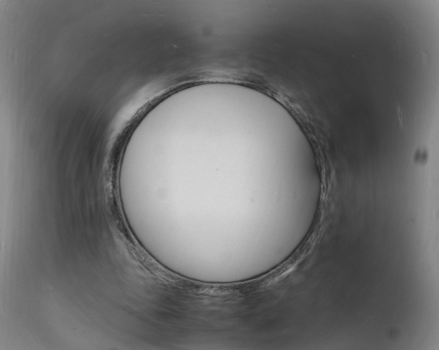X0000112150343200908071008