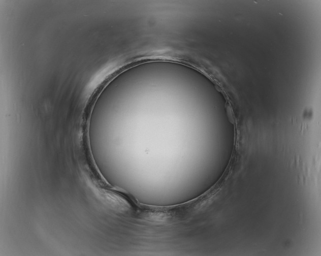 X0000112150344200908071008