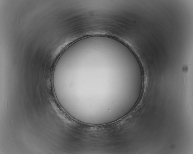 X0000112150345200908071008