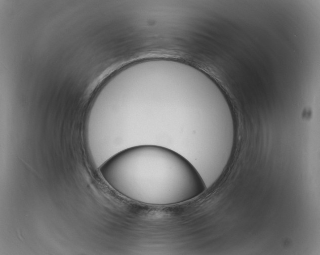 X0000112150348200908071008