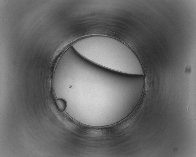 X0000112150349200908071008