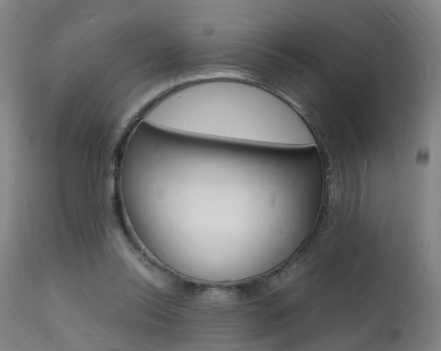 X0000112150350200908071008