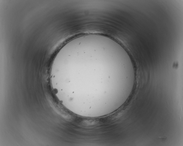 X0000112150351200908071008