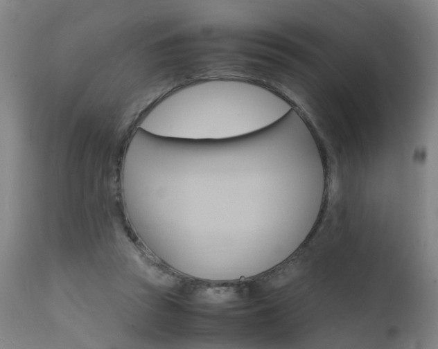 X0000112150353200908071008