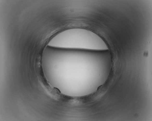 X0000112150356200908071008