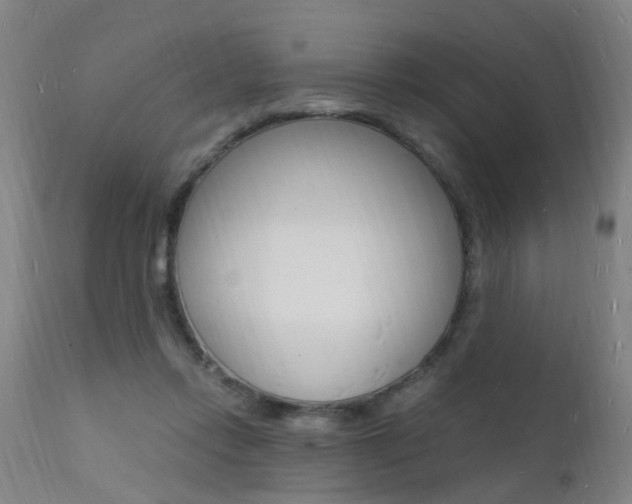 X0000112150358200908071008
