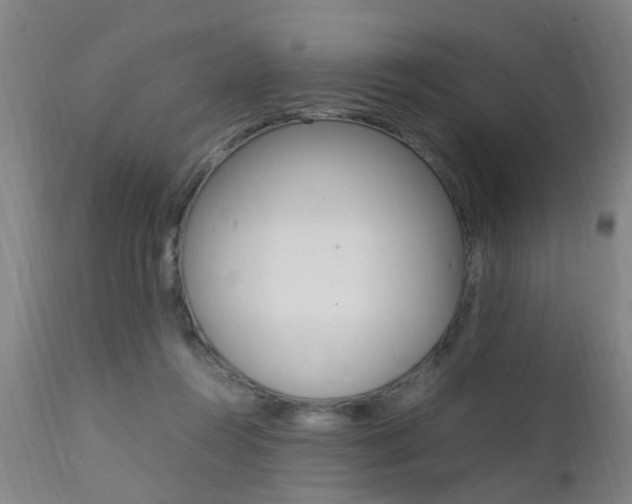 X0000112150360200908071008