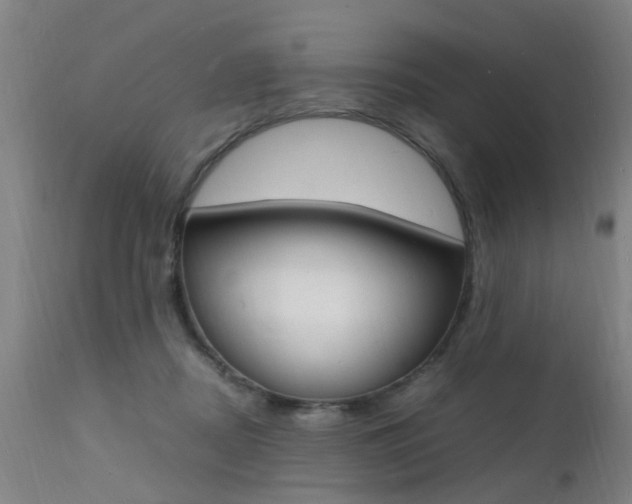 X0000112150362200908071008
