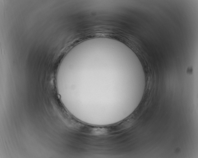 X0000112150363200908071008