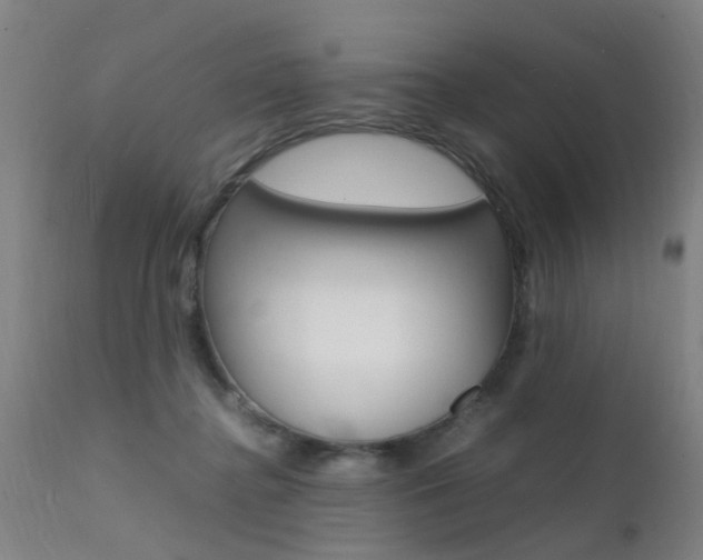 X0000112150364200908071008
