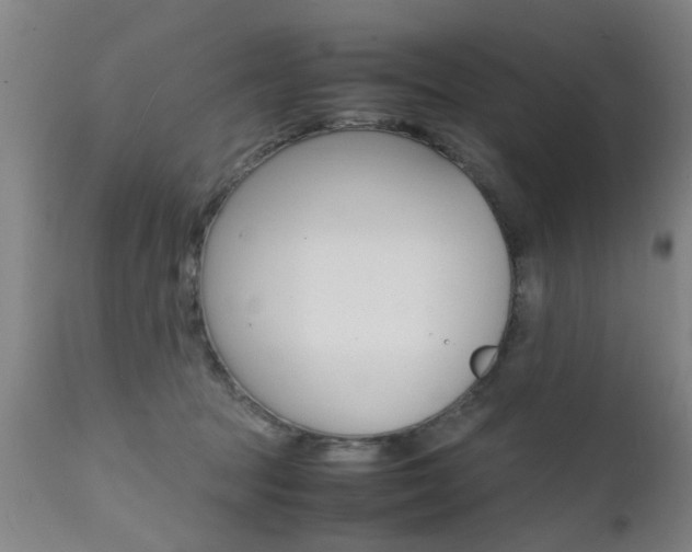 X0000112150369200908071008