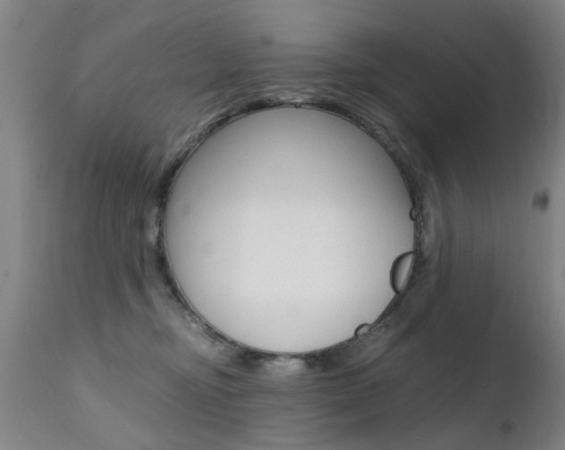 X0000112150374200908071008