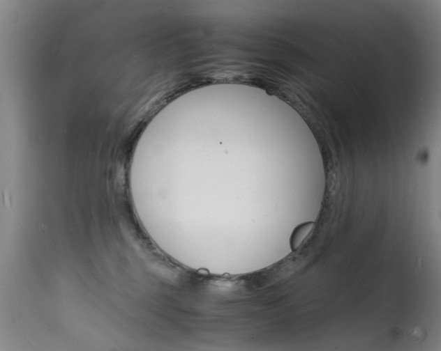 X0000112150375200908071008