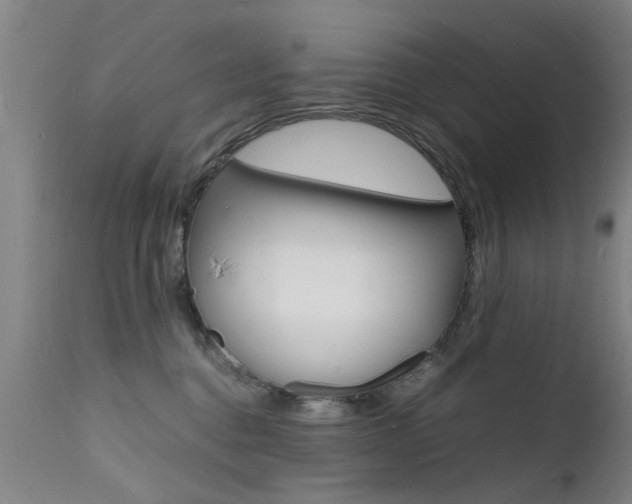 X0000112150376200908071008