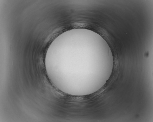 X0000112150377200908071008