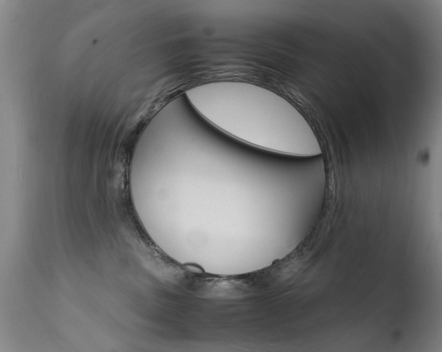 X0000112150379200908071008