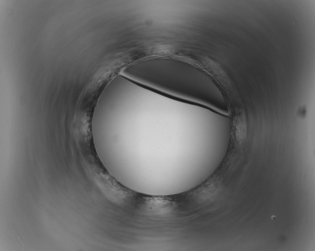 X0000112150380200908071008
