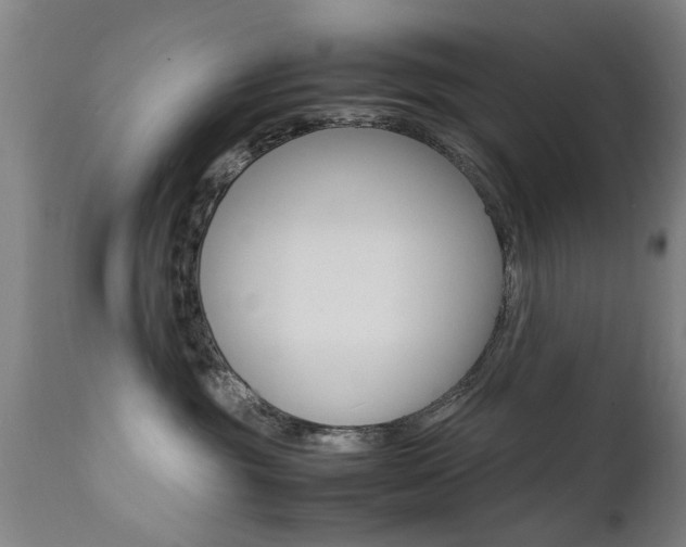 X0000112150381200908071008