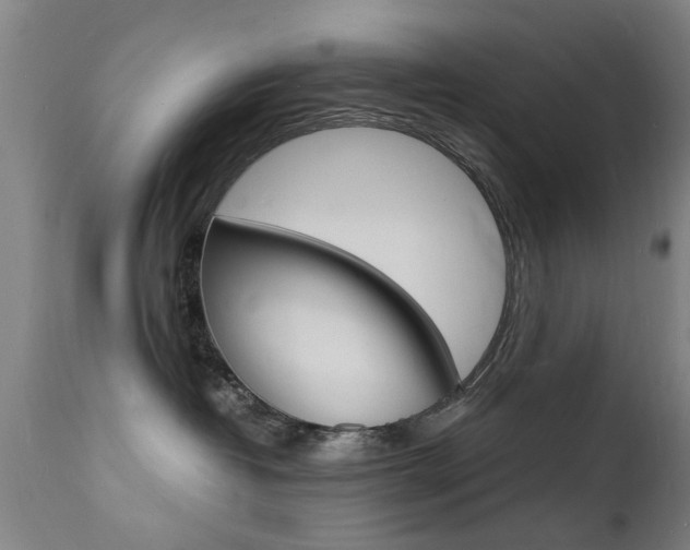 X0000112150382200908071009