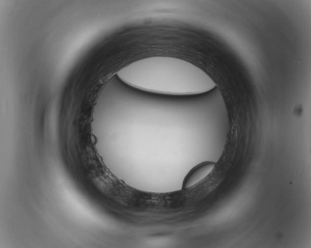 X0000112150383200908071009