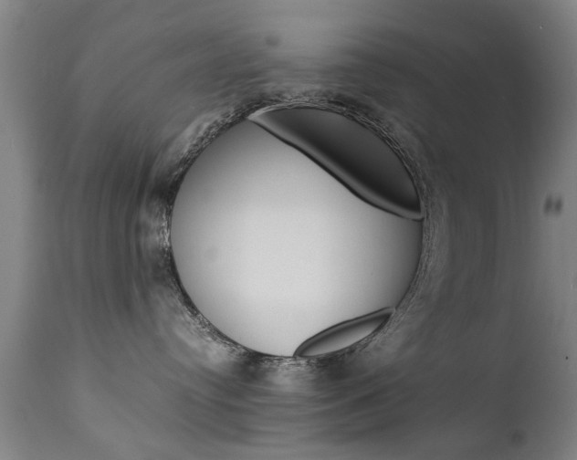 X0000112150384200908071009