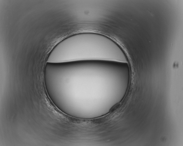 X0000112150385200908071008