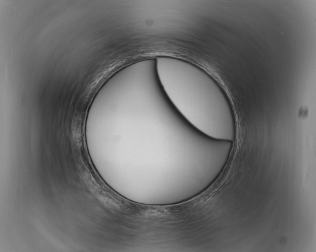 X0000112150386200908071008
