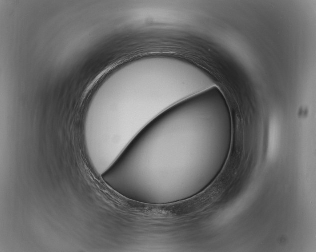 X0000112150387200908071008