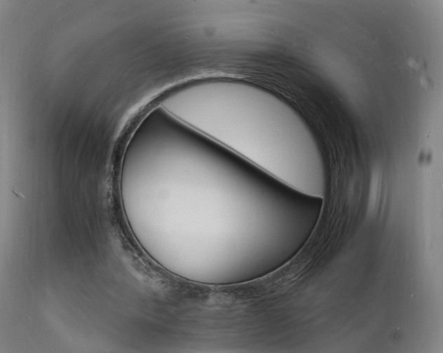 X0000112150388200908071008