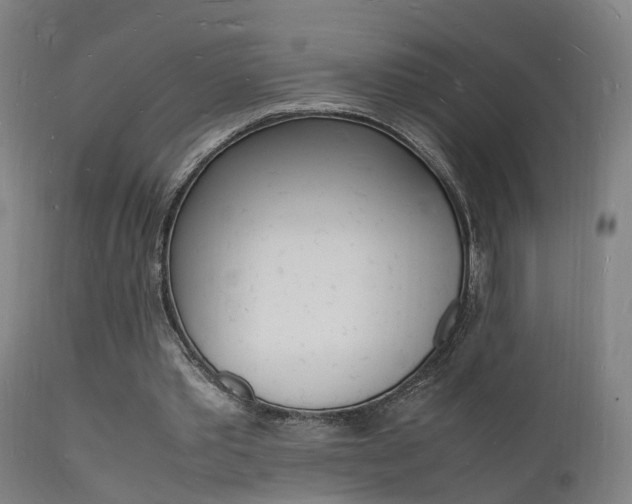 X0000112150389200908071008