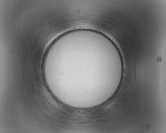 X0000112150391200908071008